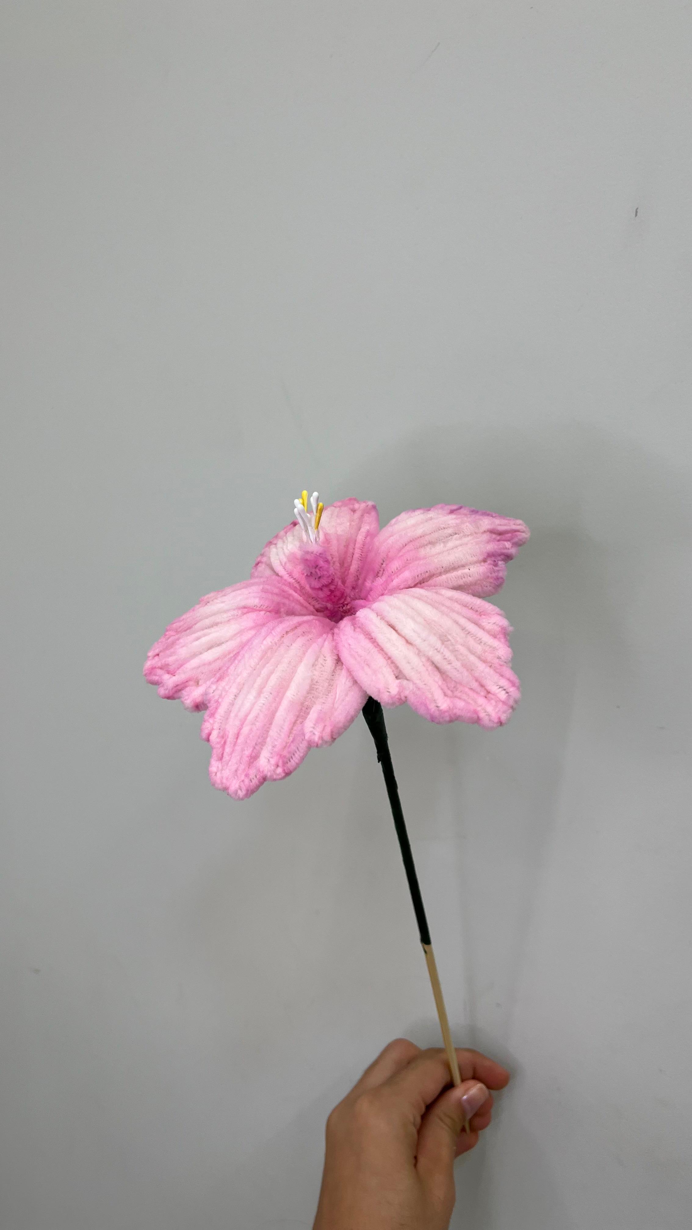 Hibisco PipeFlorYou